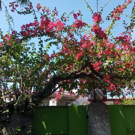 华金住宿加早餐旅馆 达义 外观 照片