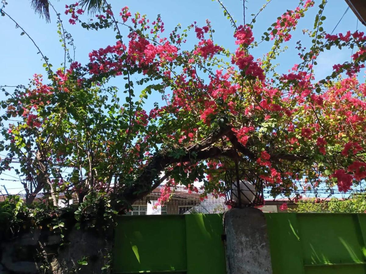 华金住宿加早餐旅馆 达义 外观 照片